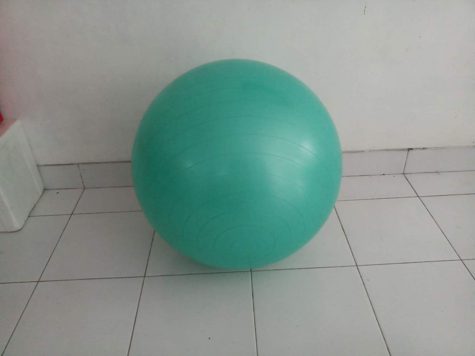 beli gym ball