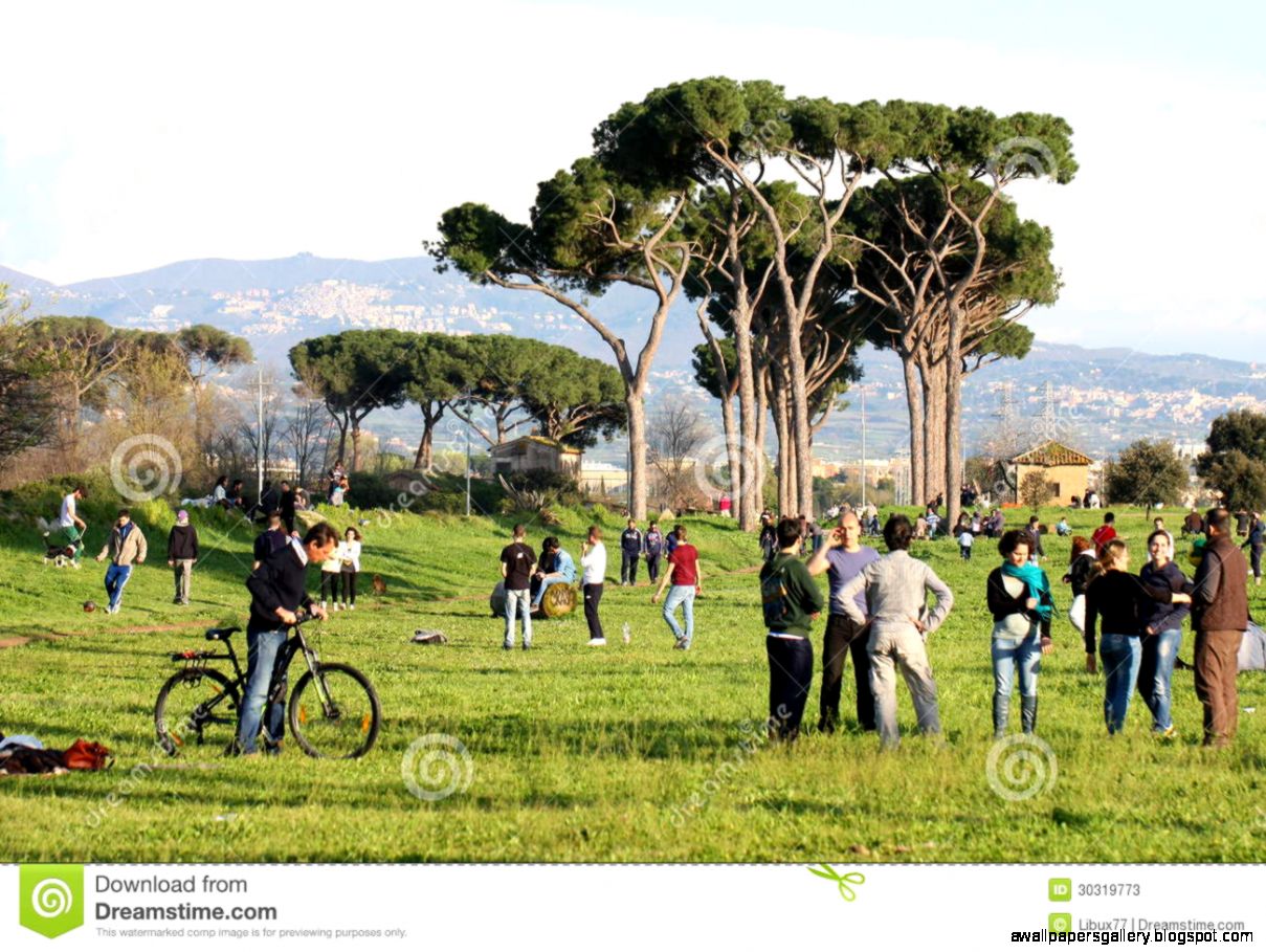 City Park On Sunday Editorial Stock Photo   Image 30319773