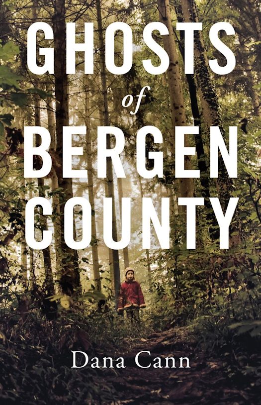 2016 Debut Author Challenge Update - Ghosts of Bergen County by Dana Cann