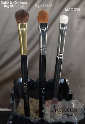 Dolce and Gabbana Big Blending Brush Review