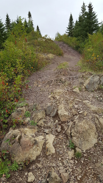 Sentier menant au sommet du mont Pointu