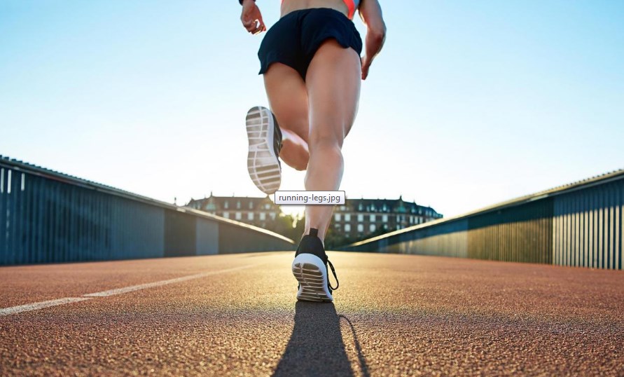 Food & Fitness How highmileage running makes muscles and tendons more
