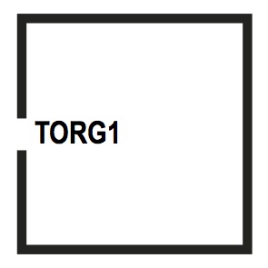 TORG1