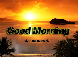 morning quotes sun tree orbit bony contents its water latest