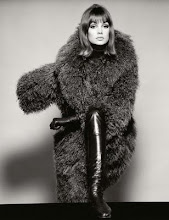 Jean Shrimpton