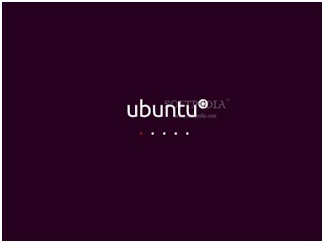 Linux Ubuntu 10.04 LTS