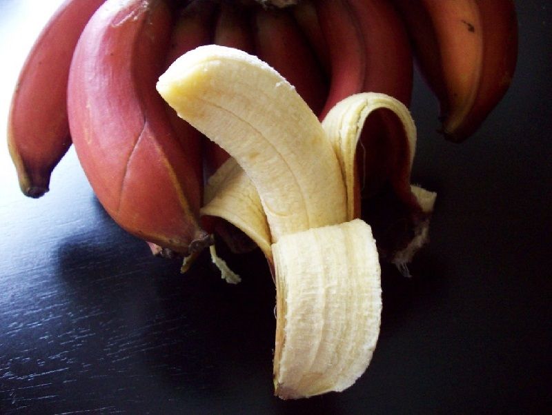 Gambar Gambar Pisang Yang Berwarna Ungu - Jenis Pisang Dan Manfaatnya