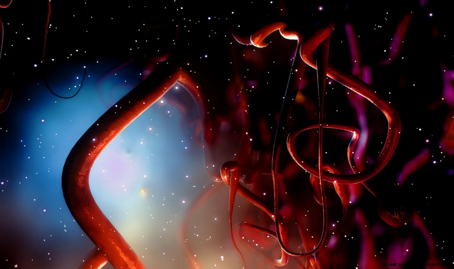 1920X1200 HD Wallpaper Real