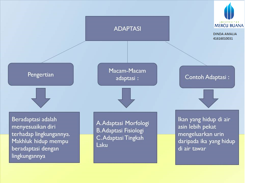 manusia beradaptasi dengan lingkungan alam berbeda