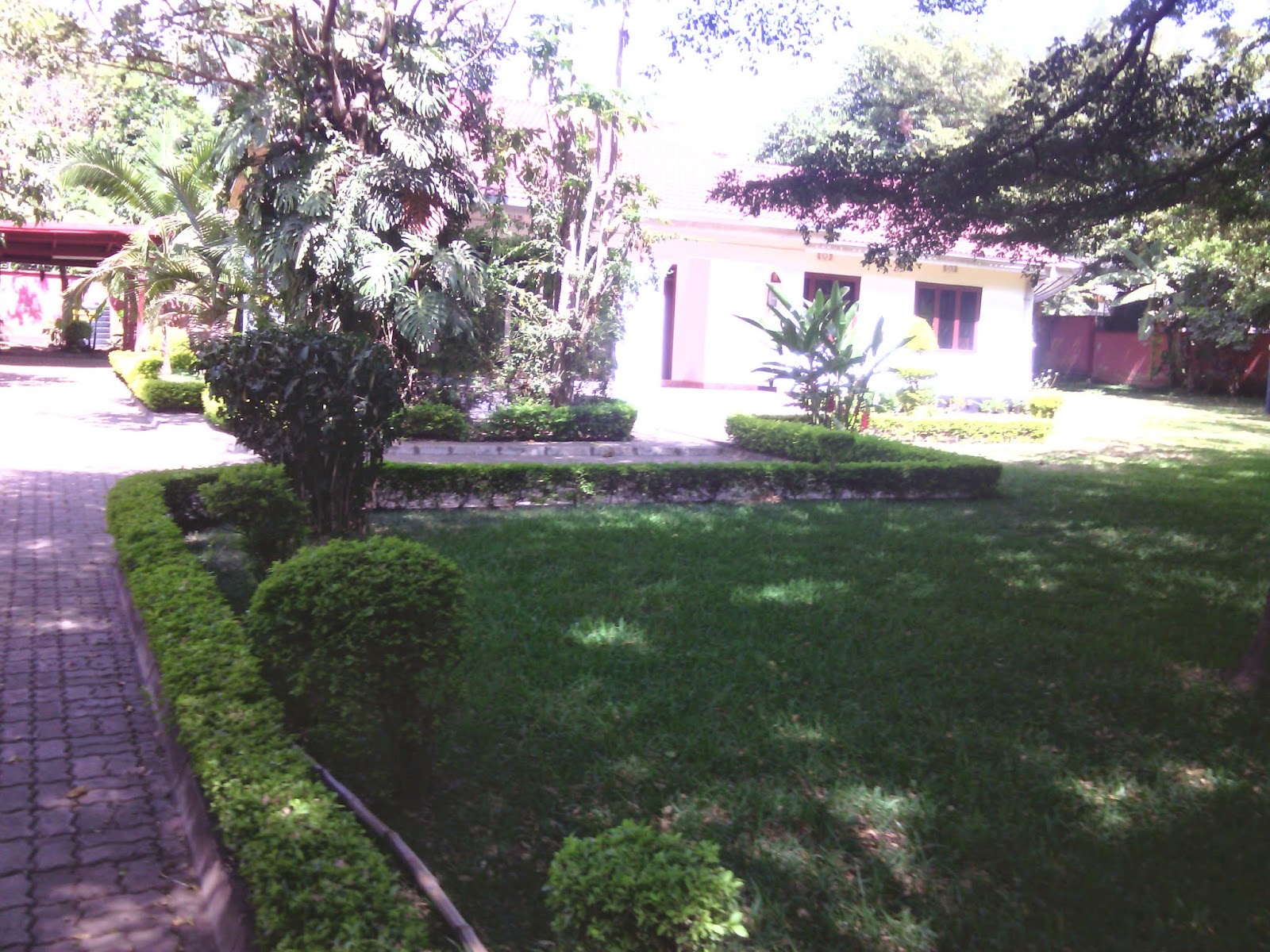 Rent house in Tanzania Arusha rent homes, Houses for sale,vacation