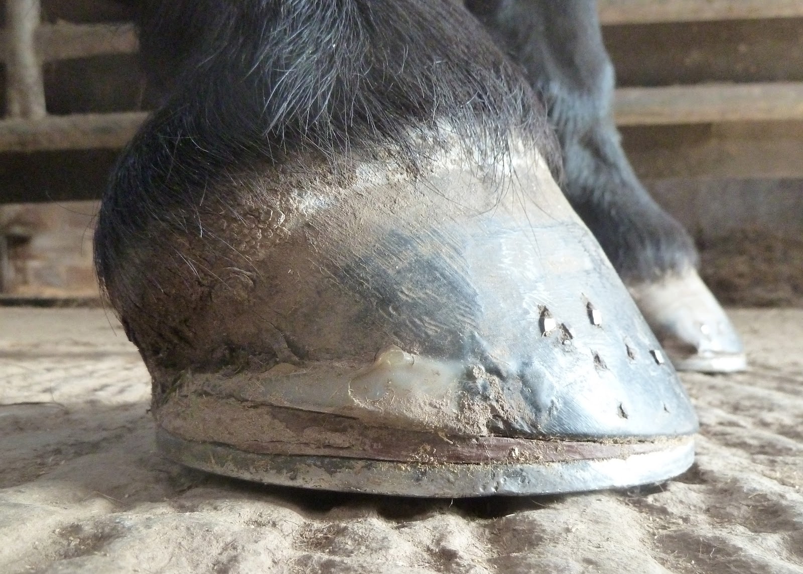 Rockley Farm Wedges are definitely "in" this year...