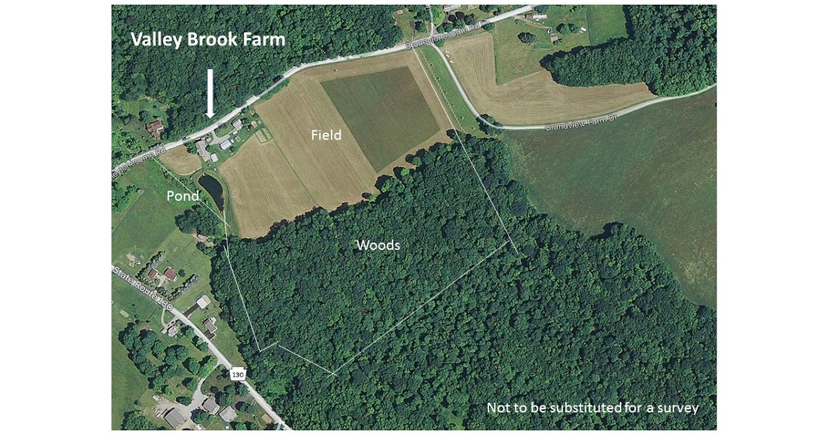 Valley Brook Farm Views