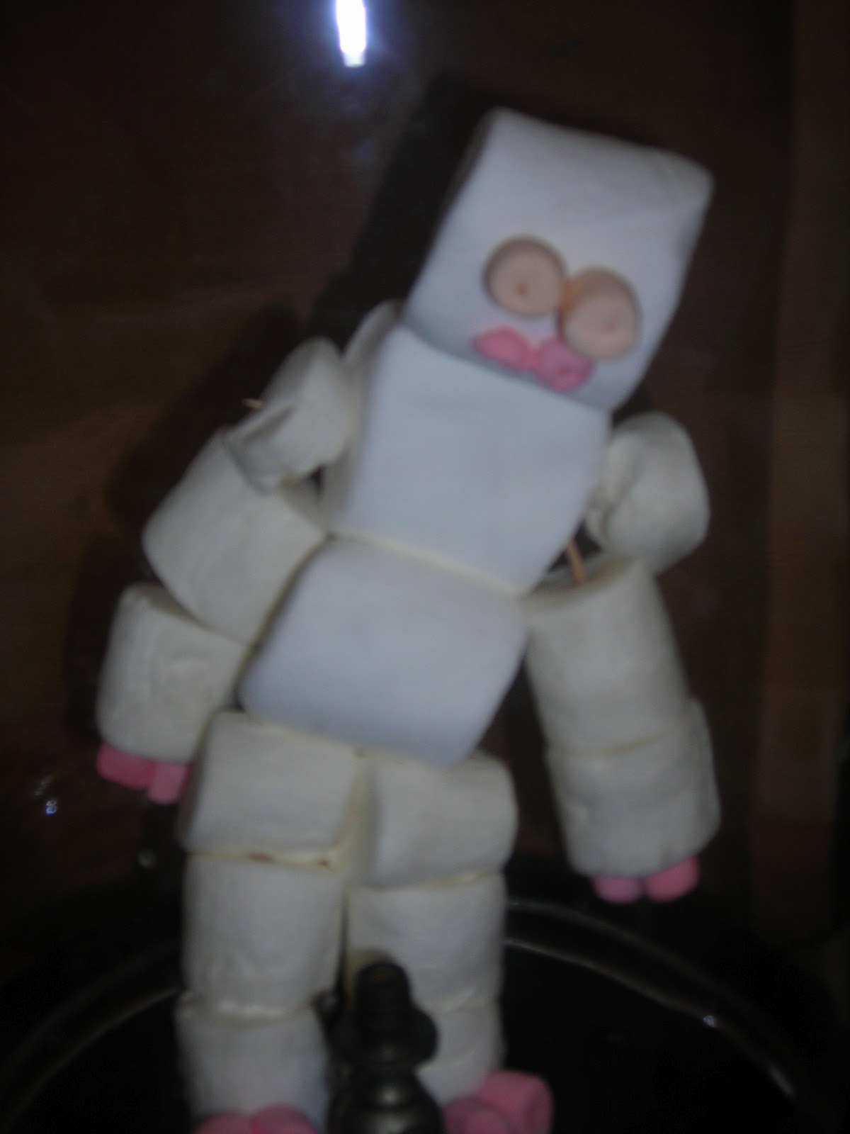 Mrs. Block's Chemistry! MARSHMALLOW MAN CHALLENGE!!!