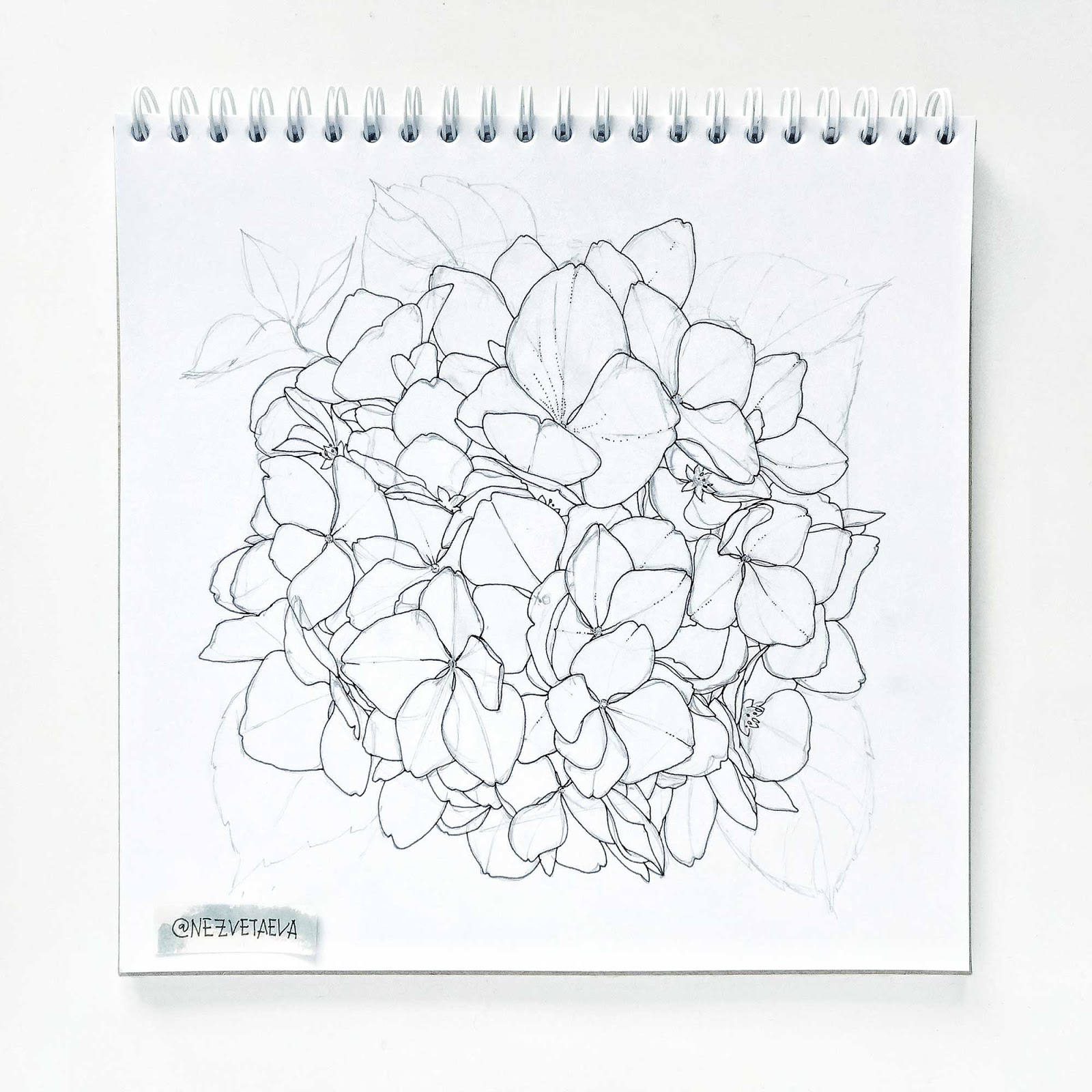 Ann Mortimer S Painting Blog