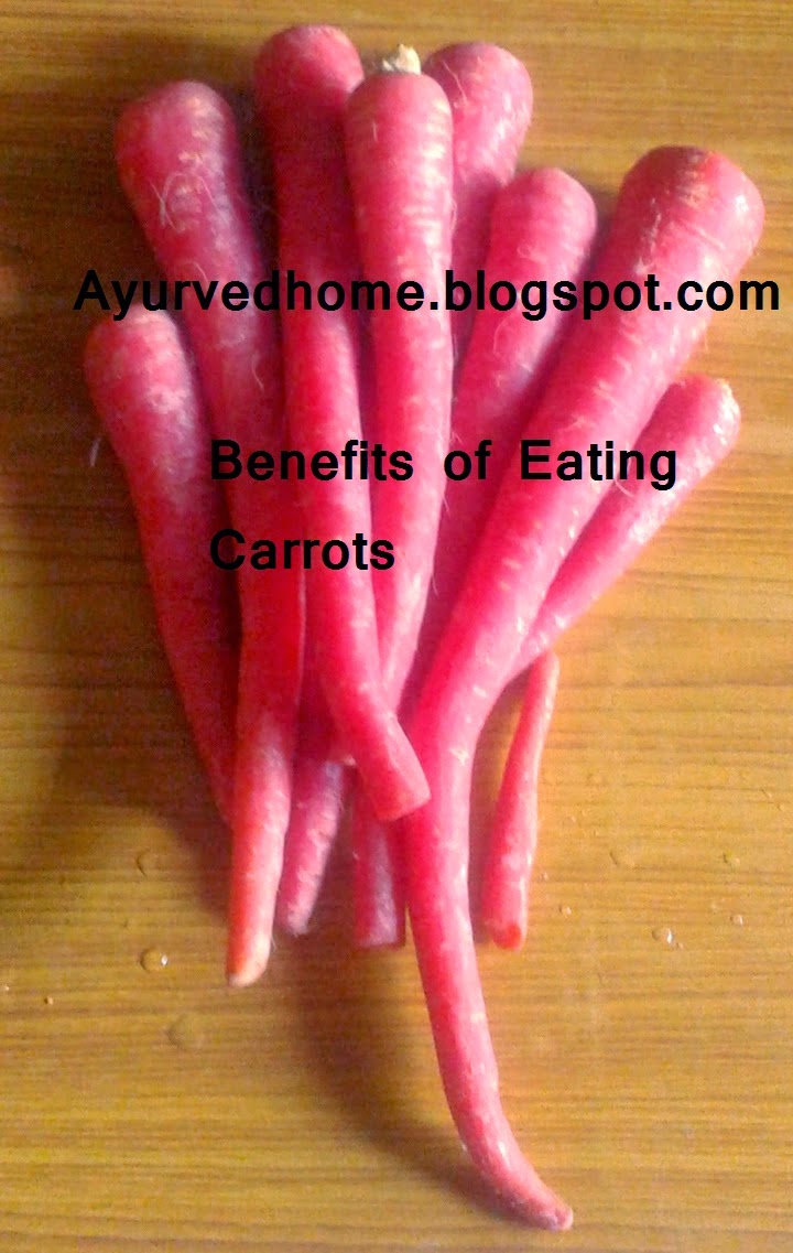 Ayurveda Home and Remedies with Nature Carrot A Blood Bank for Human