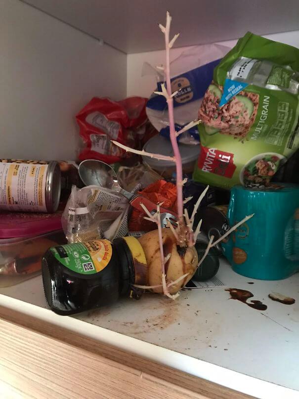 30 Photos That Prove Some People Are Living With A 'Monster'
