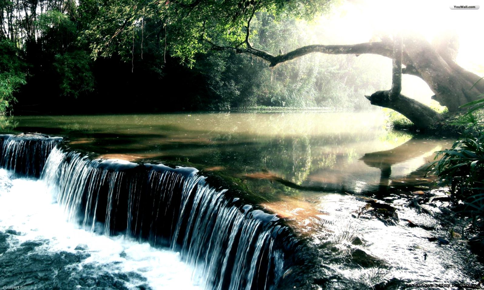 YouWall   Rainforest Waterfall Wallpaper   wallpaperwallpapers