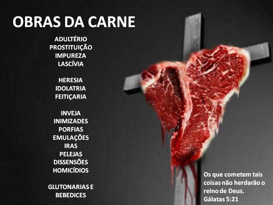 Significado De Cães Na Bíblia Significado De Cães Na Bíblia