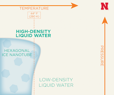 Nou estat de l'aigua: líquid de baixa densitat a baixes temperatures