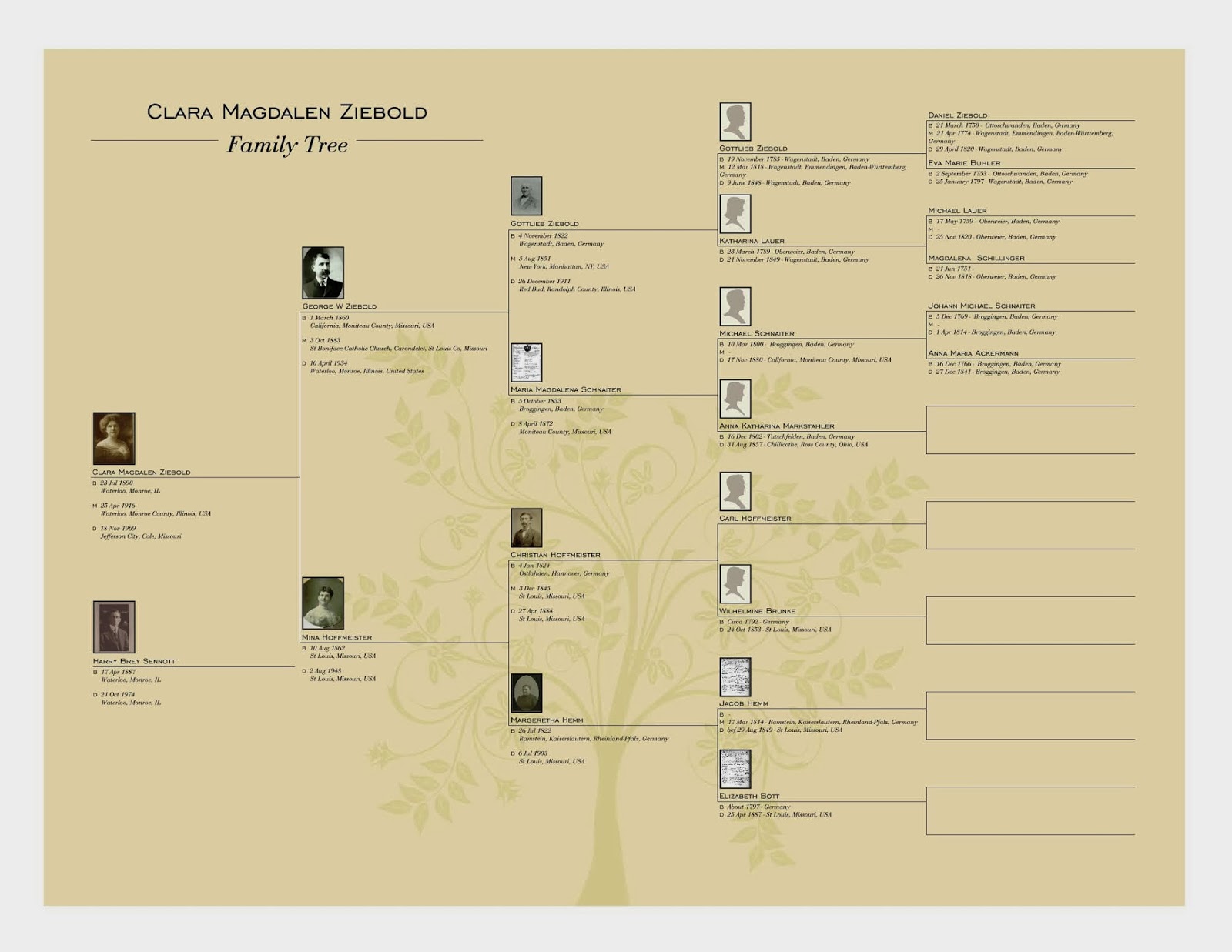 Through The Years Family Trees