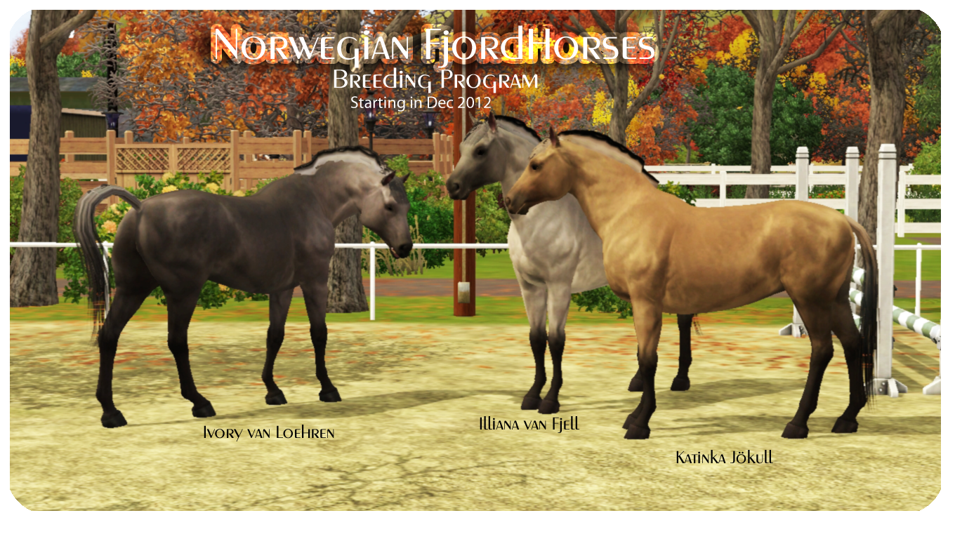 McLain Horse Breeding and Training News