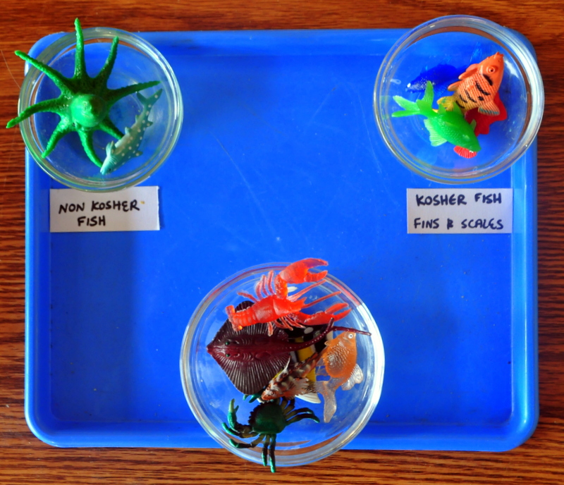 A Jewish Homeschool Blog Parshas Shemini Kosher Animals