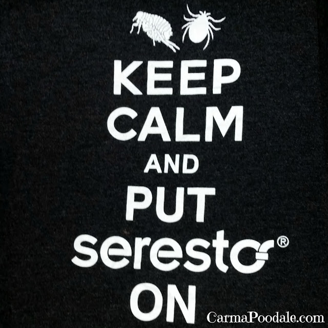 Words that say Keep #Calm and put #Seresto On