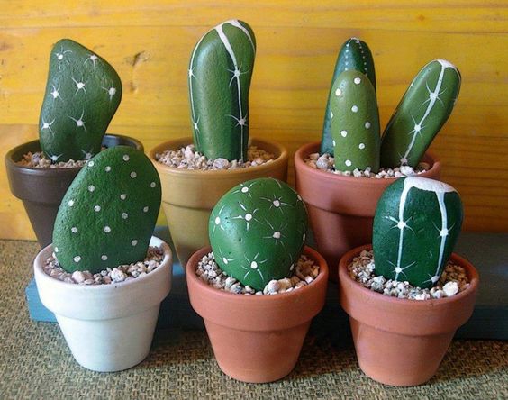 déco jardin cactus pierre