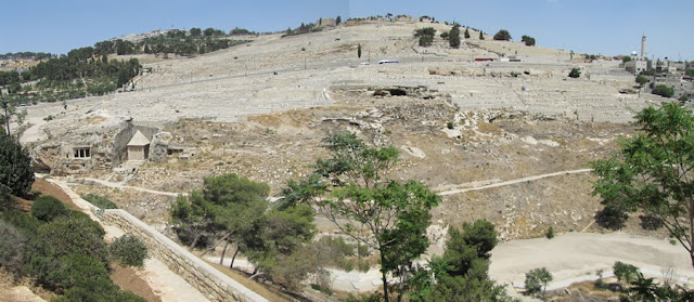 mt. olives