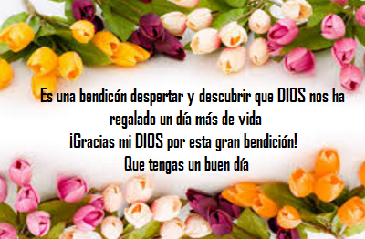 Ver las imágenes de origen