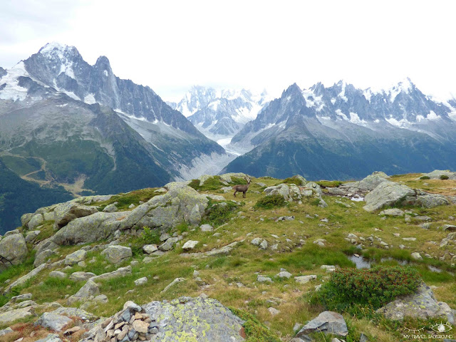 My Travel Background : COP21, engageons-nous pour le climat !