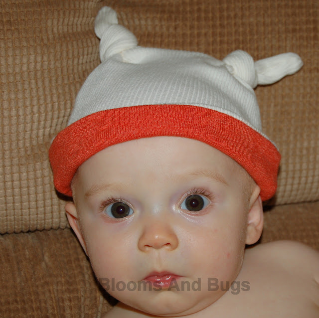 knotted baby hat DIY