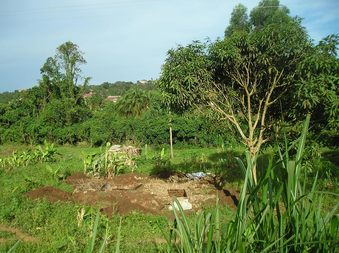 William Kituuka Kiwanuka DEBATE REGARDING LAND EVICTIONS IN UGANDA