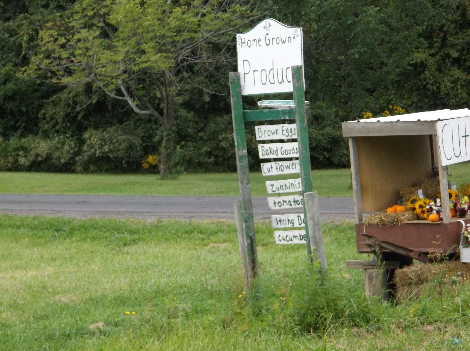 New York State of Mind AMISH, MENNONITE & ENGLISHER ROADSIDE STANDS
