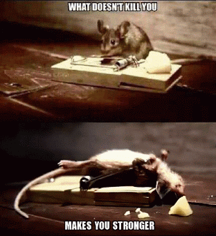 Mousey Inspiration