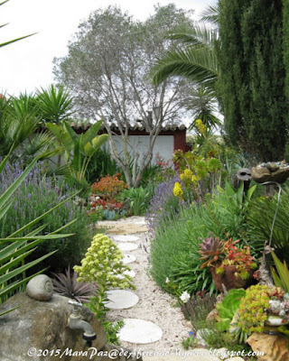 Julio's garden