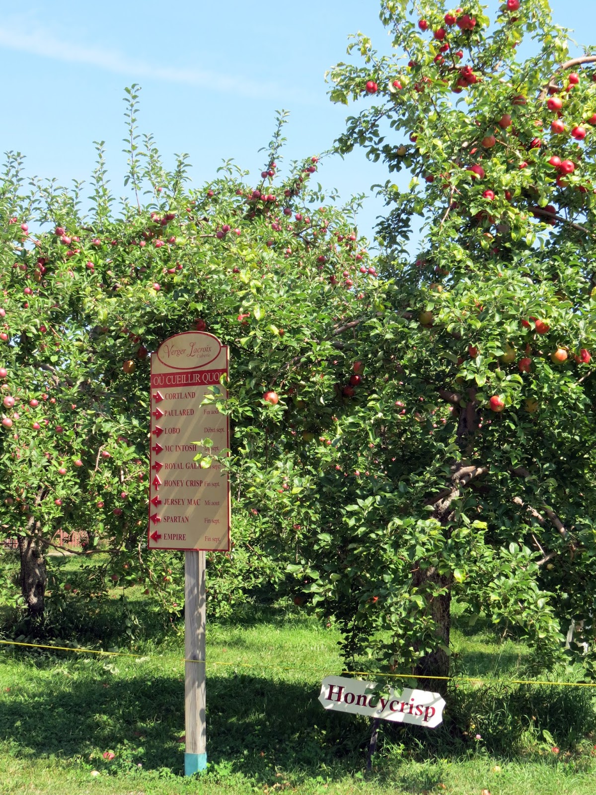 Old State Road Autumn Outing Apple Orchards in SaintJosephduLac, QC