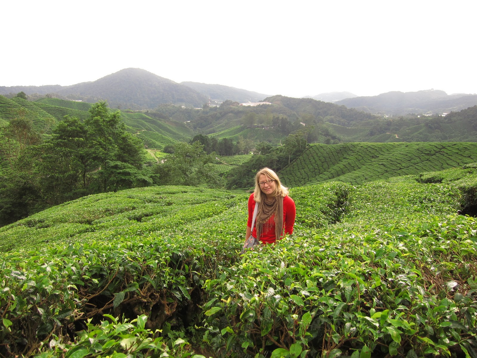 tobita>weg: Malaysia - Cameron Highlands & Penang