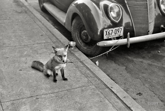 2 October 1940 worldwartwo.filminspector.com fox Moorhead Minnesota