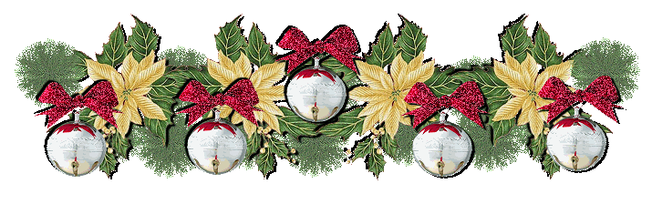 NATAL_barra_divis%25C3%25B3ria_MSGT_009.