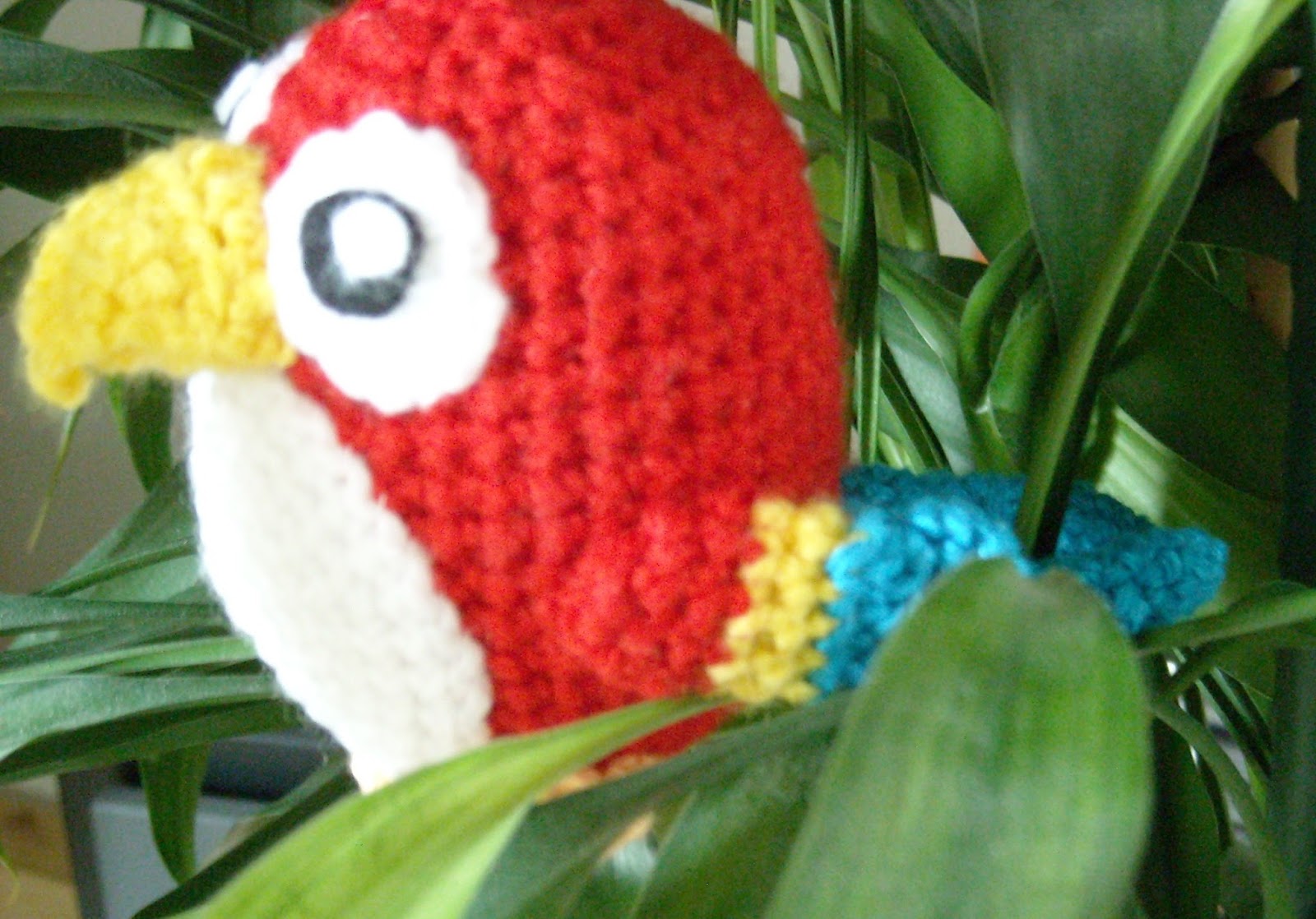 Süßer kleiner Papagei // Sweet little parrot