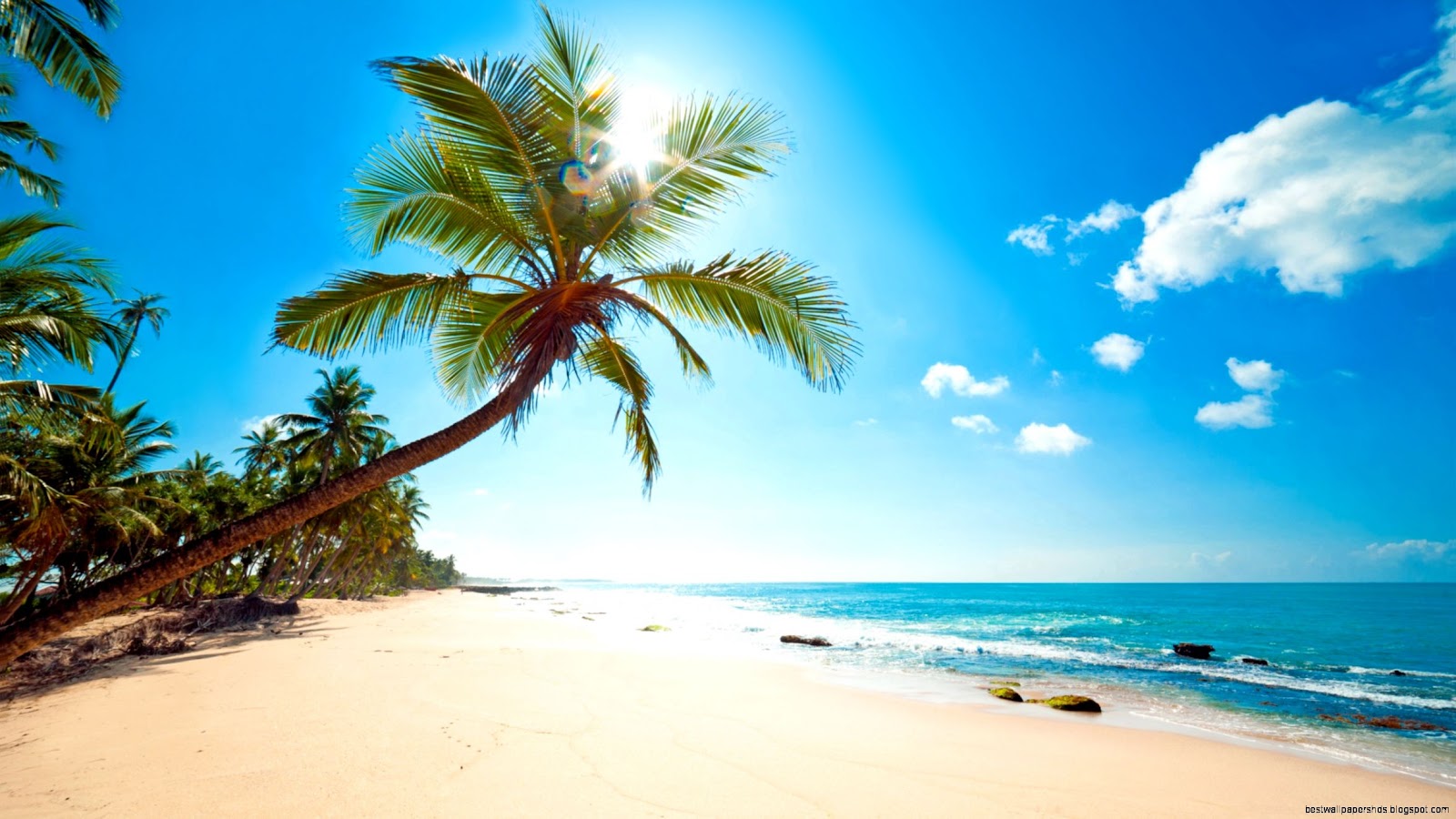 Beautiful Beach Landscapes