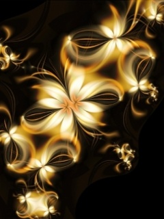 Flowers | 240x320 | Wallpapers | Free Download - Part III | Mobile
