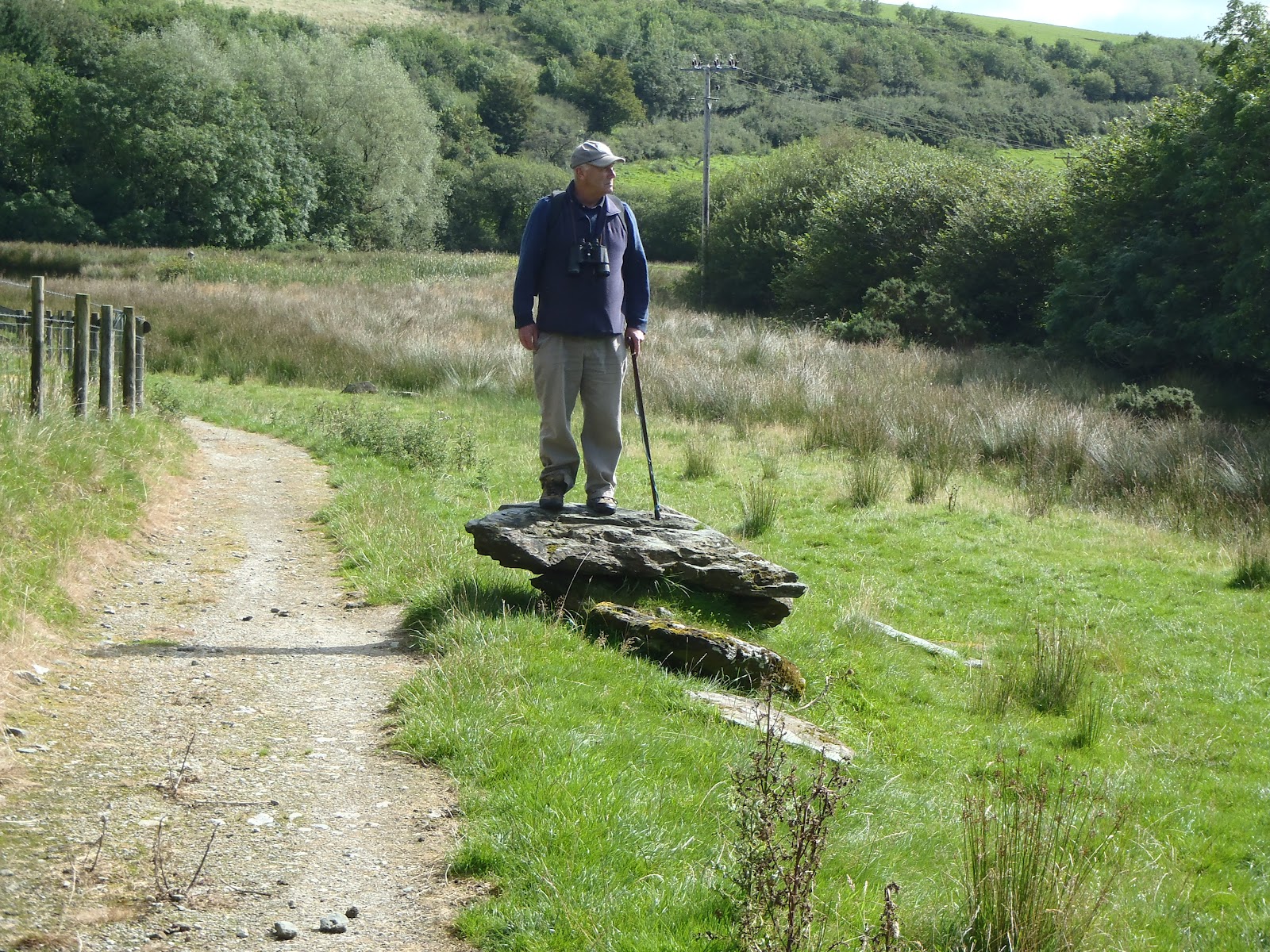 Random Distractions A long country walk