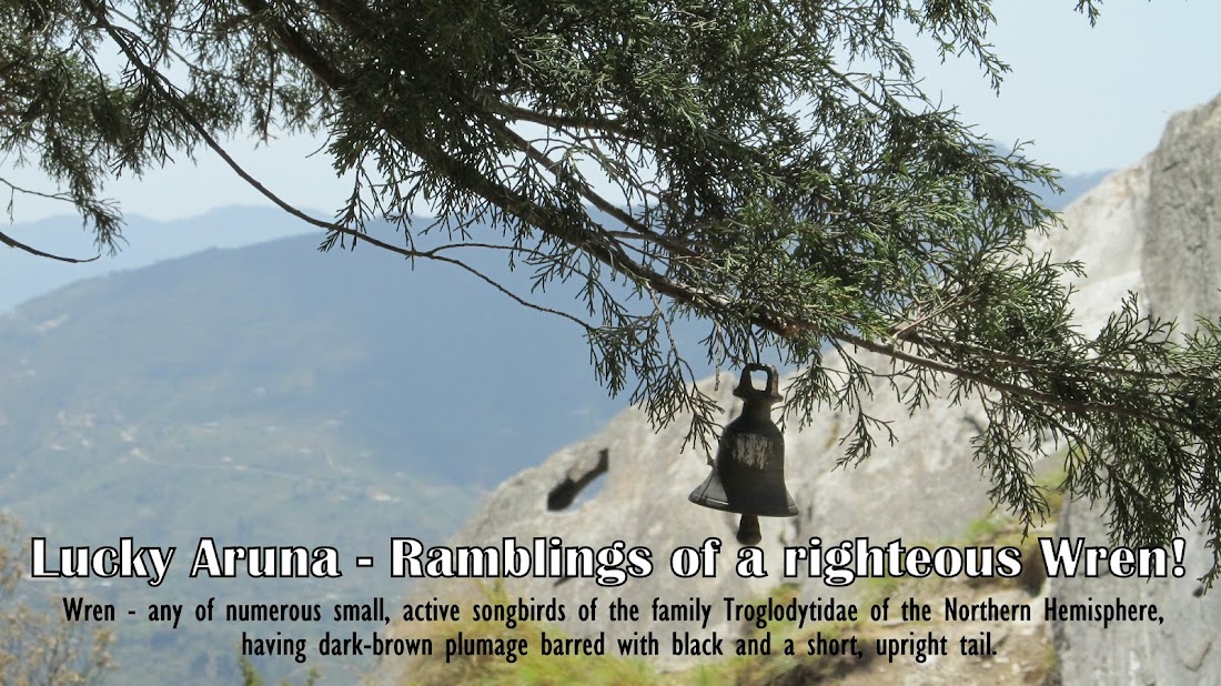 Lucky Aruna - Ramblings of a righteous wren!