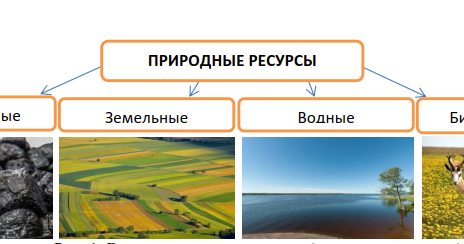 Полезные ископаемые и природные ресурсы это одно и то же thumbnail