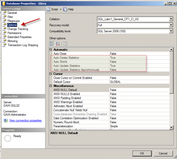 Cloudy River's SQL Server Data Warehouse and Index Statistics