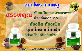 สมุนไพร กานพลู Thai herb สรรพคุณ ประโยชน์ ขับลม ท้องอืด ท้องเฟ้อ ช่วยย่อย