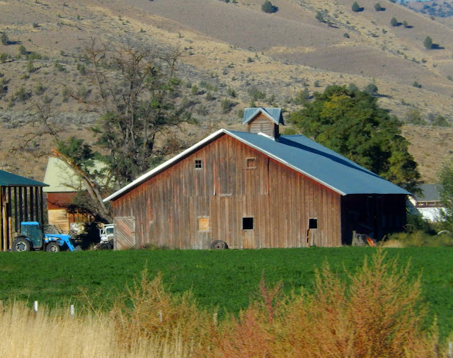 Cat Patches John Day, Oregon, to Home