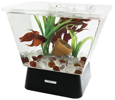 Aquariuam Ikan Hias Mini Yang Cocok Untuk Rumah Minimalis Serba